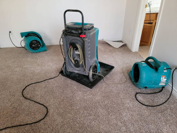  Hudson, IA Water damage restoration Pros