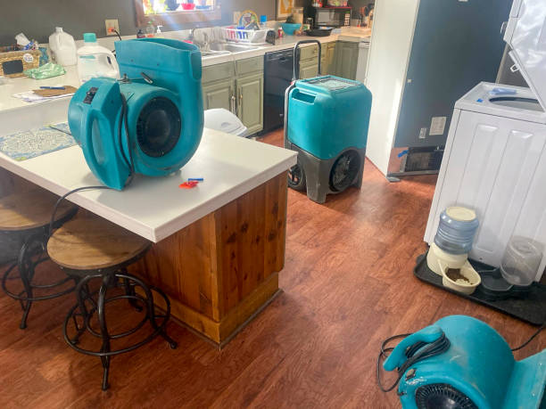 Best Residential water damage restoration  in Hudson, IA