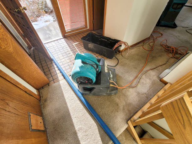 Best Sewage cleanup and water damage restoration  in Hudson, IA