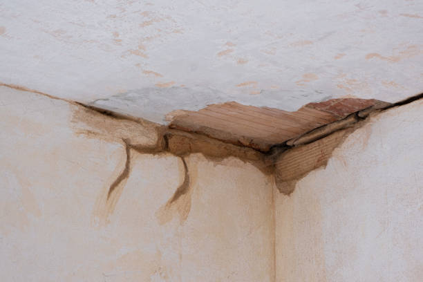 Best Ceiling water damage repair  in Hudson, IA