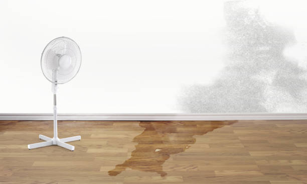 Best Water damage restoration specialists  in Hudson, IA